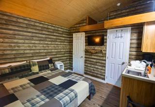 Secluded Nature Views, Hot Tub, WiFi, King Bed, Fireplace - Gatlinburg - 5