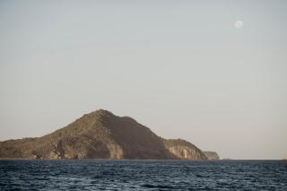 Salt at Shoal Bay - Shoal Bay - 5