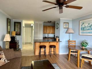 Maui Vista. 1 bedroom fully furnished condo across from Kam 1 Beach. Walking distance to restaurants and shops. - Kihei - 0