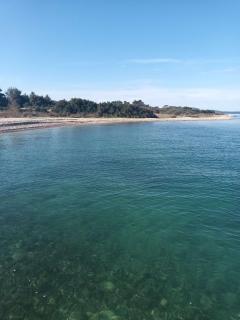 Apartments by the sea Zadar - 21958 - 6
