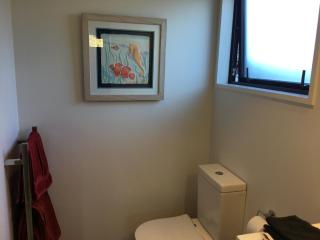 Cozy stylish studio Entry off Northburn road - Wanaka - 5