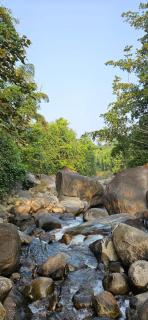 Poovanathil Farm Stay Anakkampoyil By Lexstays - Vallikavungal - 6