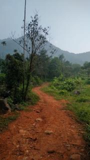 Poovanathil Farm Stay Anakkampoyil By Lexstays - Vallikavungal - 4