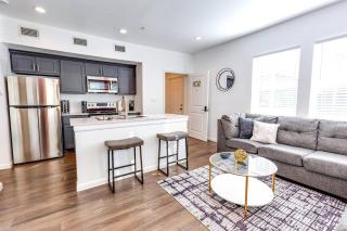 Velvet Valór - 1BD Near Museum District & Med Center - Houston - 9