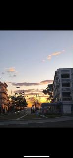 Le coup de cœur d’Argelès - Argelès-sur-Mer - 9
