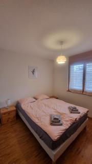 Ovronnaz La Roussane Appartement Spacieux et Confortable - Ovronnaz - 4