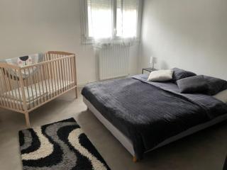 Appartement rénové et douillet - Nancy - 8