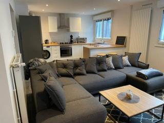 Appartement rénové et douillet - Nancy - 5