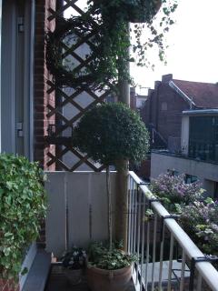 Apartment Het Demerhuisje - Hasselt - 5