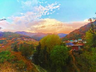 Hotel Hill Valley, Ooty - Ooty - 5