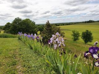 Maison en pierre situé au milieu des champs de blé - Pern - 7