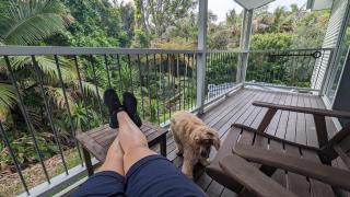 Rainforest Deluxe Bungalow - Port Macquarie - 0