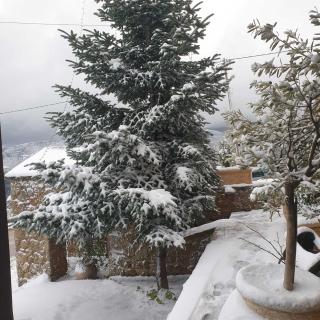 Nymfes Guesthouse - 1