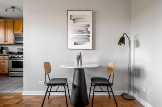 Evanston 1br w courtyard nr beach university CHI-952 - 6