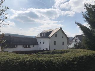 Gästehaus Siebert - Bad Brambach - 7