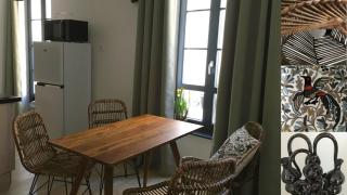 Villa Sérénité appartement au centre ville n 4 - Lourdes - 2
