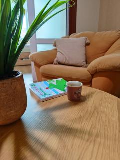 Orange Couch Apartment - 8