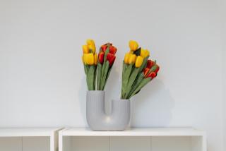 15 minuti dal centro Bovisa - Mailand - 3