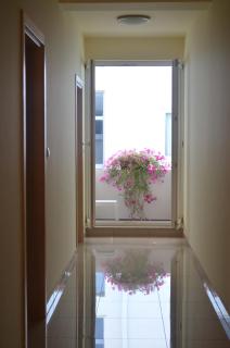 Rooms Guardian - Medjugorje - 3