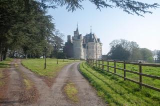 Château de la Pervenchère gîte Exotique - Casson - 4