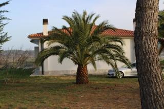 TENUTA FATTORE - Santa Maria Imbaro - 4
