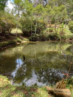 Sitio Humanaterra: natureza e acolhimento. - São Lourenço da Serra - 6