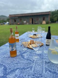 Chubini Winery & Cabins - Kvareli - 3