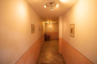 Schererhof - 9