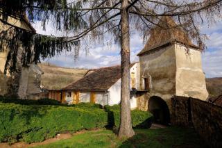 FortiVacation - Curciu - Curciu - 9