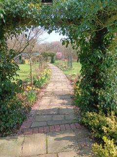 The Barn - Quiet Location - Ashford - 3