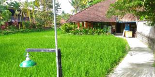Keladi House Ubud - Ubud - 4