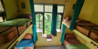 Keladi House Ubud - 7