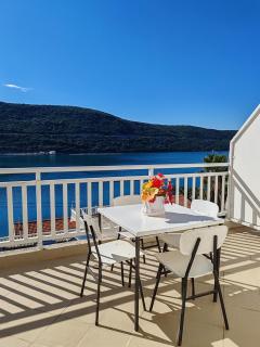 Apartmani i sobe Šagarjelo - Neum - 0