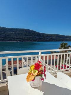 Apartmani i sobe Šagarjelo - Neum - 1