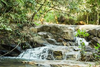 goREAL - SKP 001 - Sakleshpur - 3