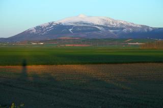 Apartamentos La Dama Azul - 5