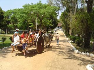 Hotel Fazenda Villa-Forte - 1