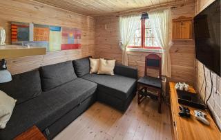 Nice Home In Treungen With Jacuzzi - Fjone - 3