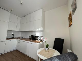 Apartamenty Kielce- Apartament Zacisze przy Baseny Tropikalne, Kadzielnia, parking, faktura,centrum - Kielce - 9