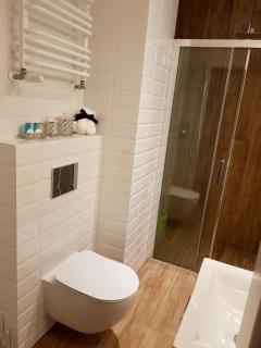 Apartamenty Kielce- Apartament Zacisze przy Baseny Tropikalne, Kadzielnia, parking, faktura,centrum - Kielce - 5