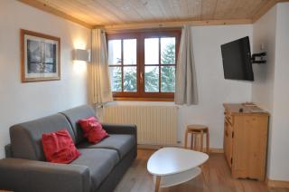 Alpina Lodge - 31 - Appart renove - 6 pers - Les Deux Alpes - 0