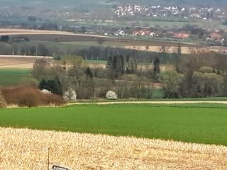 Zur schönen Aussicht - Hameln - 3