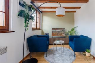 Travel Homes - Tanneur 6, heart of Petite Venise - Colmar - 9