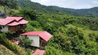 Bungalows Ayampe - Ayampe - 6
