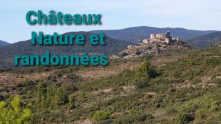 MAURY CAT'STUDIO 66 - 2