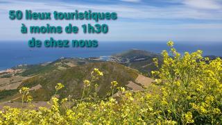 MAURY CAT'STUDIO 66 - 1