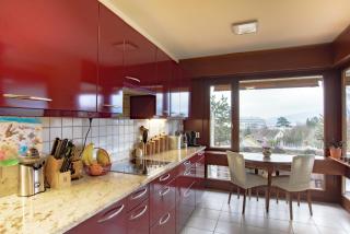 Tourelle 2 - Spacieux appartement dans le centre de Genève - Ginevra - 3