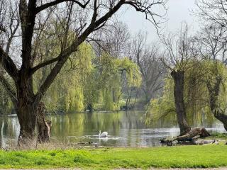 Strasbourg, Appartement cosy au bord de l eau - Estrasburgo - 6
