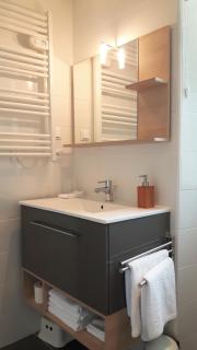 Domaine Chateau La Mothaye-self catering gites- shared pool- Loire valley - Brion - 4