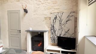 Domaine Chateau La Mothaye-self catering gites- shared pool- Loire valley - Brion - 2